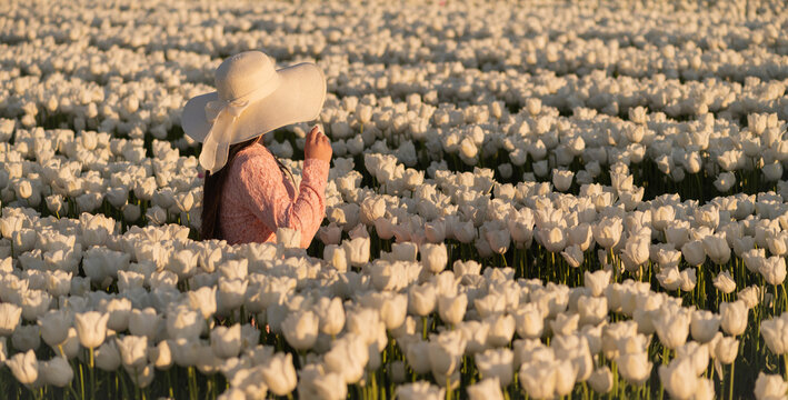 anonymous girl in pastel pink dress sitting among white tulips
