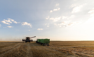 Fototapeta premium Combine Harvester Unloading Grain into Trailer in sunset.