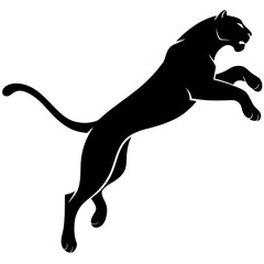 black panther running © Sadia