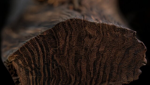 Cross-section of dark brown wenge wood showing interlocking grain.