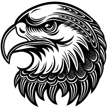 Detailed eagle head illustration black and white vector graphic on a transparent background
