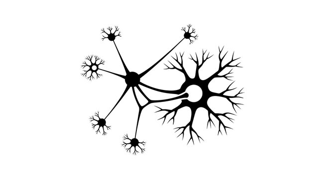 Neuron cell structure with dendrites.
