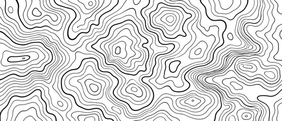 Obraz premium Abstract topographic lines pattern in black and white for design use