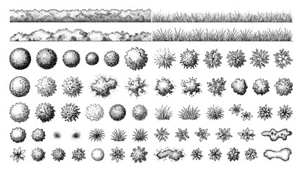 Vintage landscape architecture symbols, hand drawn garden plan icons, black and white sketch of trees and shrubs for site mapping, 50 vector elements © Noman