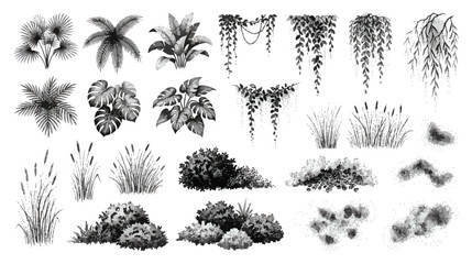 Vintage hand drawn tropical plants and garden bushes set, black ink botanical sketch of jungle leaves and hanging vines, 25 vector elements © Noman