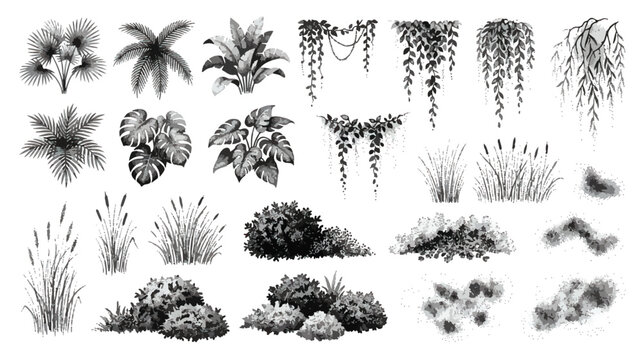 Vintage hand drawn tropical plants and garden bushes set, black ink botanical sketch of jungle leaves and hanging vines, 25 vector elements