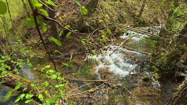 Forest stream flows gently through greenery. Bigar Waterfall, Stara Planina. (Balkan Mountains), Serbia.