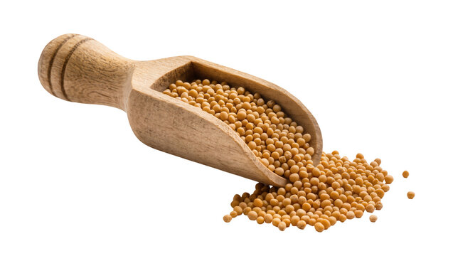 Wooden scoop filled with yellow mustard seeds spilling onto white surface