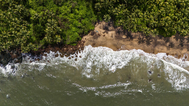 Aerial view of Betul Beach featuring waves crashing against the sandy shore and rocky coastline bordered by dense palm trees in Mobor Beach, Goa, India.
