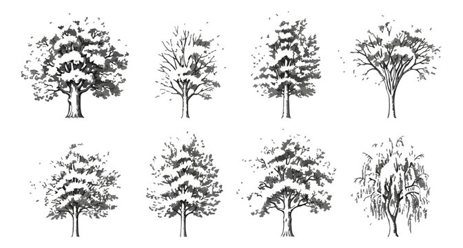 Hand drawn tree sketches set, vintage ink style forest plant illustrations, collection of 8 black and white vector trees for landscape design