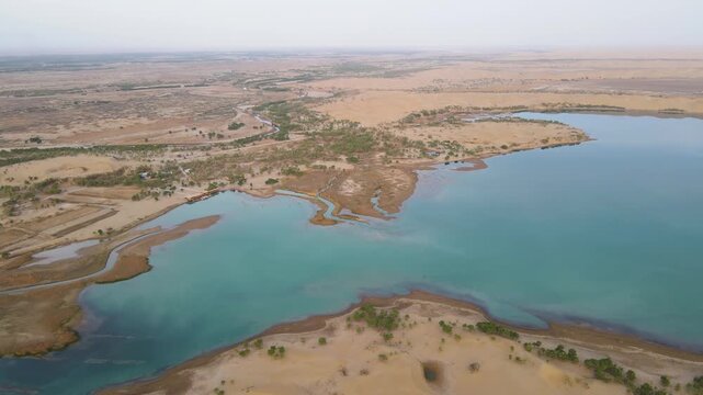 Aerial shot of desert poplar forest at Tata Secret Land, Luobu Lake, Yuli Xinjiang