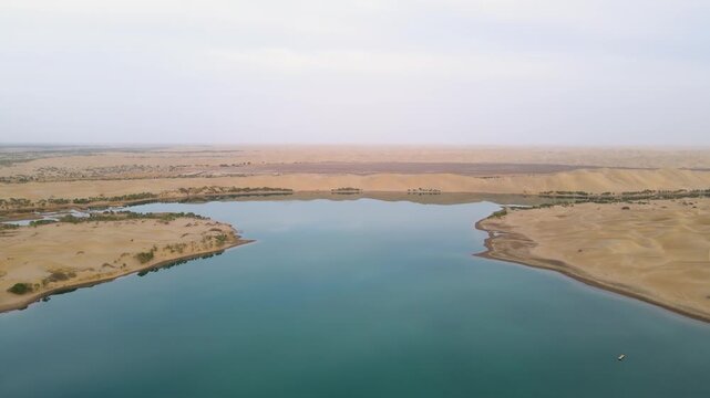 Aerial shot of desert poplar forest at Tata Secret Land, Luobu Lake, Yuli Xinjiang