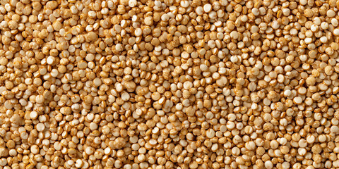Fototapeta premium a detailed background texture of organic golden quinoa seeds spread evenly in a natural flat lay shot