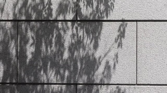 Tree leaf shadows swaying on a stone wall abstract natural pattern