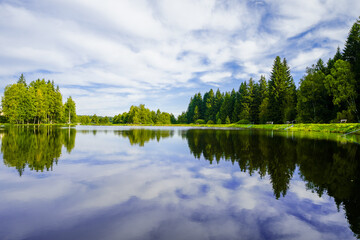 Fototapeta premium A view of the Unterer Floßgraben near Muldenhammer and the surrounding landscape. Idyllic nature by the lake near Muldenberg, in the Vogtland district of Saxony. 