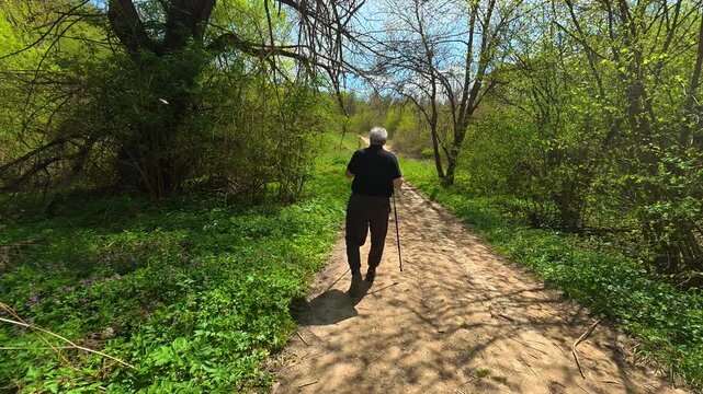 Man walks slowly through green forest path. Bigar Waterfall, Stara Planina. (Balkan Mountains), Serbia.