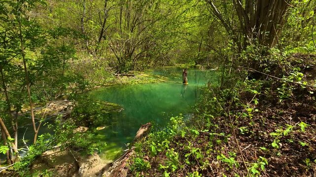 Lush green forest surrounds a clear. Bigar Waterfall, Stara Planina. (Balkan Mountains), Serbia.