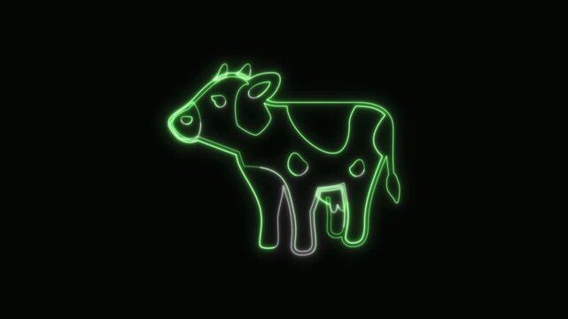  Cow Icon Neon Seamless Loop 4K with Black Background Animated Promotional Typography for Video Editing