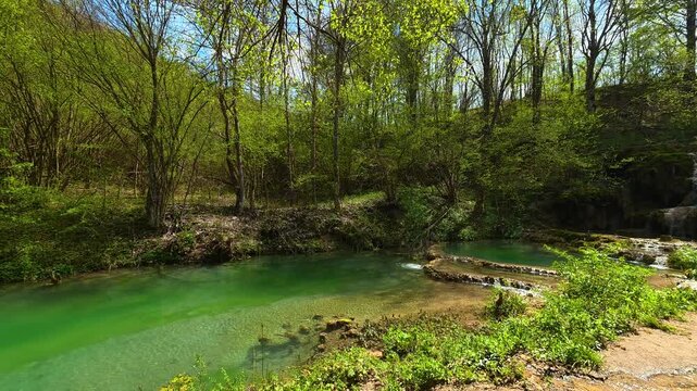 Lush green trees frame a serene emerald pool. Bigar Waterfall, Stara Planina. (Balkan Mountains), Serbia.