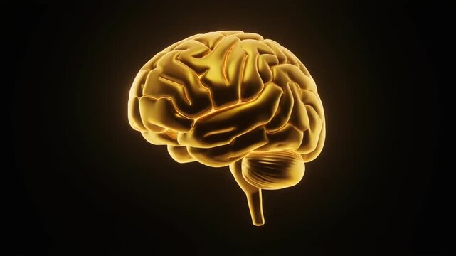 Translucent golden brain model against black background, symbolizing intelligence, thought, innovation, and the luminous complexity of human cognition.