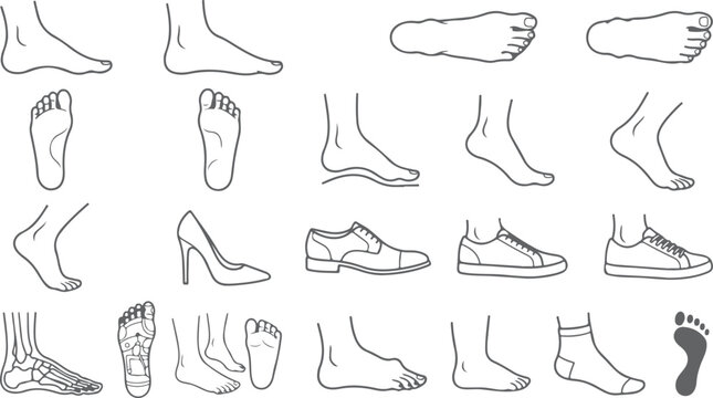 Human feet and shoes collection various views and styles footwear vector art.