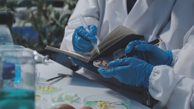 Researcher conducts food analysis in laboratory on eggs and dairy with microscope and data sheet for study on nutrition concept