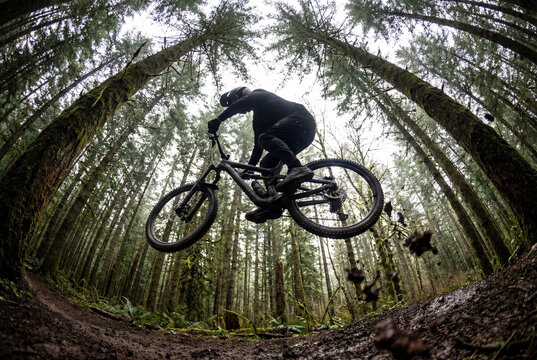 Mountain biker jumping over a muddy ditch in forest shown as fast trail action. Tall trees and the airborne rider keep the forest jump setting clear.