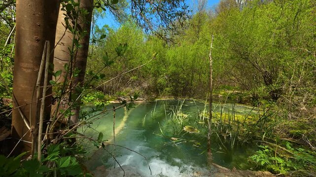 Clear water flows gently through green forest. Bigar Waterfall, Stara Planina. (Balkan Mountains), Serbia.