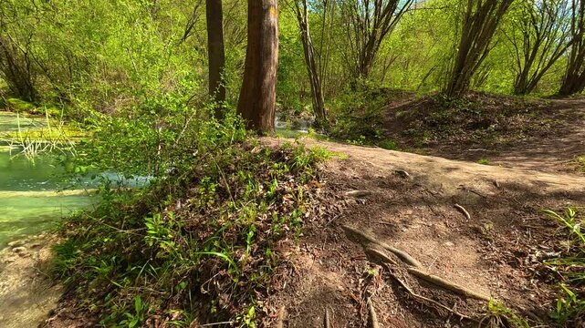 Clear stream flows gently through forest floor. Bigar Waterfall, Stara Planina. (Balkan Mountains), Serbia.