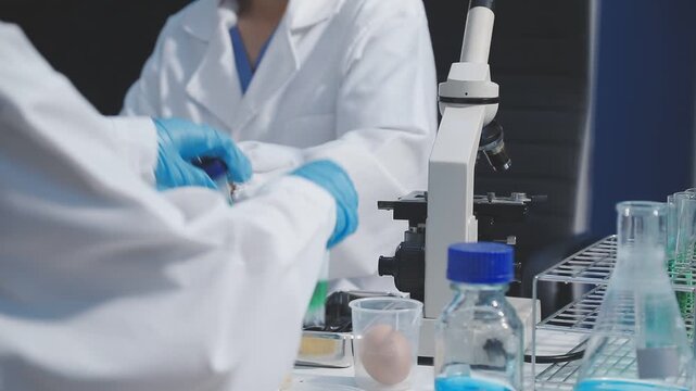 Researcher conducts food analysis in laboratory on eggs and dairy with microscope and data sheet for study on nutrition concept