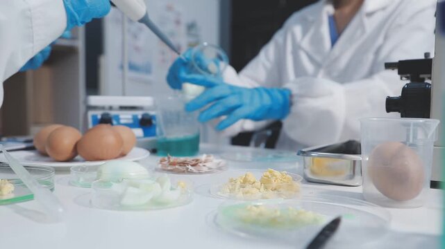 Researcher conducts food analysis in laboratory on eggs and dairy with microscope and data sheet for study on nutrition concept