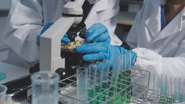 Researcher conducts food analysis in laboratory on eggs and dairy with microscope and data sheet for study on nutrition concept