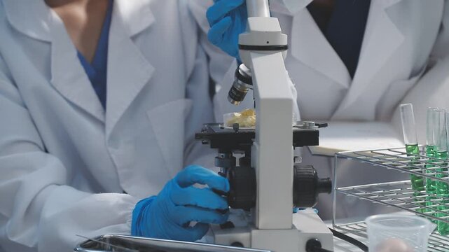 Researcher conducts food analysis in laboratory on eggs and dairy with microscope and data sheet for study on nutrition concept