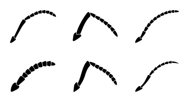 Arrow Icons Set, Downward Directional Symbols, Vector Graphics for Navigation and Data