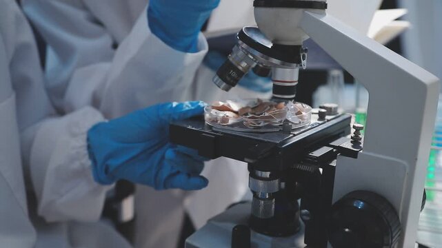 Researcher conducts food analysis in laboratory on eggs and dairy with microscope and data sheet for study on nutrition concept