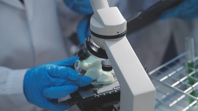 Researcher conducts food analysis in laboratory on eggs and dairy with microscope and data sheet for study on nutrition concept