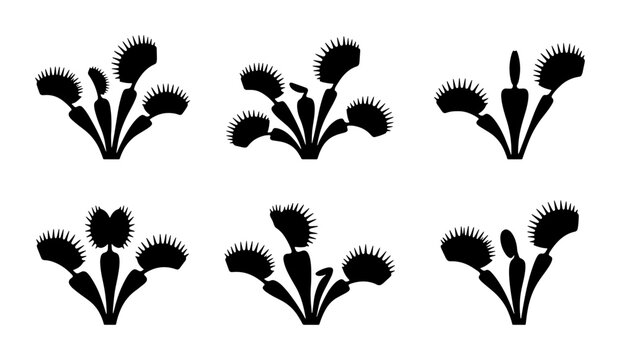 Venus Flytrap Vector Icons, Carnivorous Plant Silhouettes, Botanical Outline Graphics, Insectivorous Flora Set