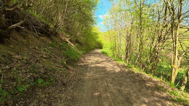 Sunlight filters through spring trees. Bigar Waterfall, Stara Planina. (Balkan Mountains), Serbia.