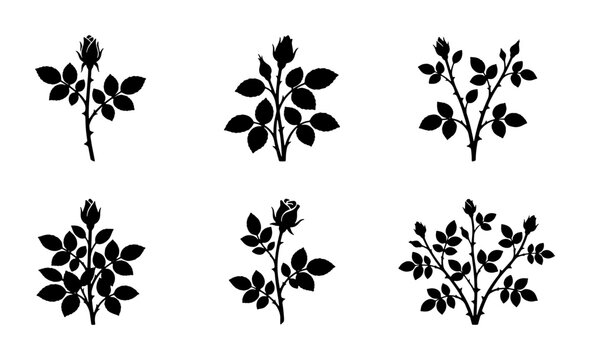 Rose Bush Silhouettes, Botanical Vector Elements, Floral Sprigs, Garden Design Icons