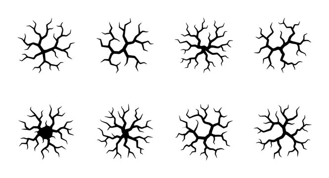 Abstract Branching Tree Silhouettes, Organic Network Patterns, Minimalist Botanical Vector Elements