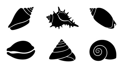 Six Black Seashell Silhouettes, Ocean Life Icons, Marine Nature Vector Graphics © sogir