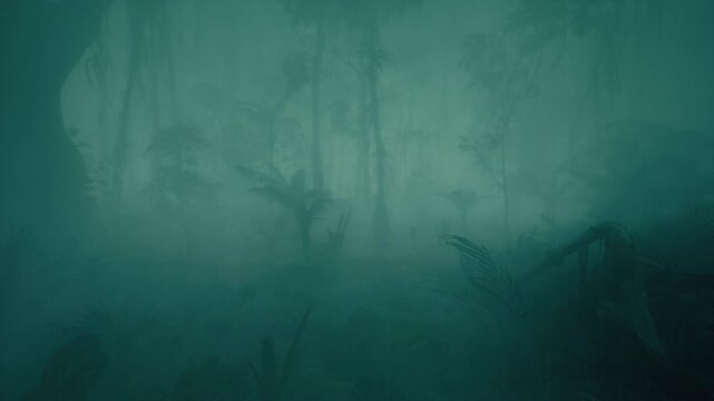 Rain In The Forest 09