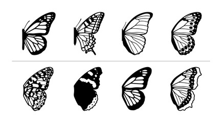 Butterfly Wing Vector Illustrations, Delicate Insect Art, Nature Elements, Black and White Graphics © Rohan