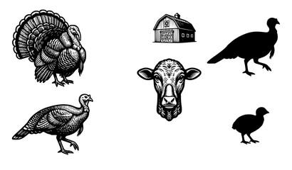 Turkey Bird and Farm Animal Vintage Engraving Illustration Collection Vector Set © Madhobe