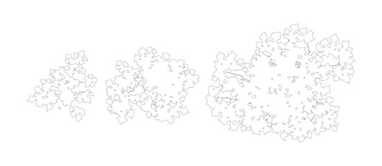 Minimalist tree top view vector set, architectural landscape plan symbols, black and white line art foliage for site mapping and garden design © jindu