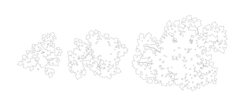 Minimalist tree top view vector set, architectural landscape plan symbols, black and white line art foliage for site mapping and garden design