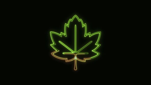 Maple Leaf Icon Neon Seamless Loop 4K Black Background Animated Promotional Typography for Video Editing