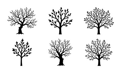 Obraz premium Stylized Tree Silhouettes, Vector Icons Set: Nature, Growth, Seasons, Organic Elements
