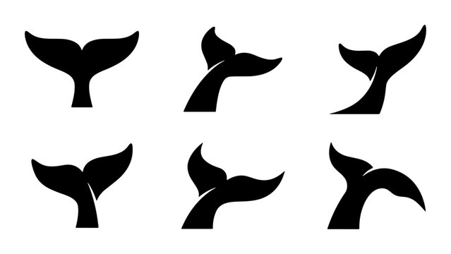 Whale Tail Silhouettes: Marine Mammal Icons, Ocean Wildlife Vector Graphics, Aquatic Animal Art