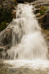 waterfall in the forest © Crux Capture